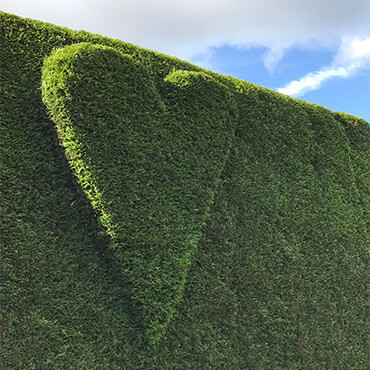 Gartenbau Oldenburg Schliep