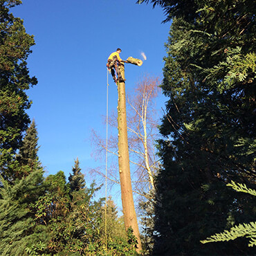 Gartenbau Oldenburg Schliep